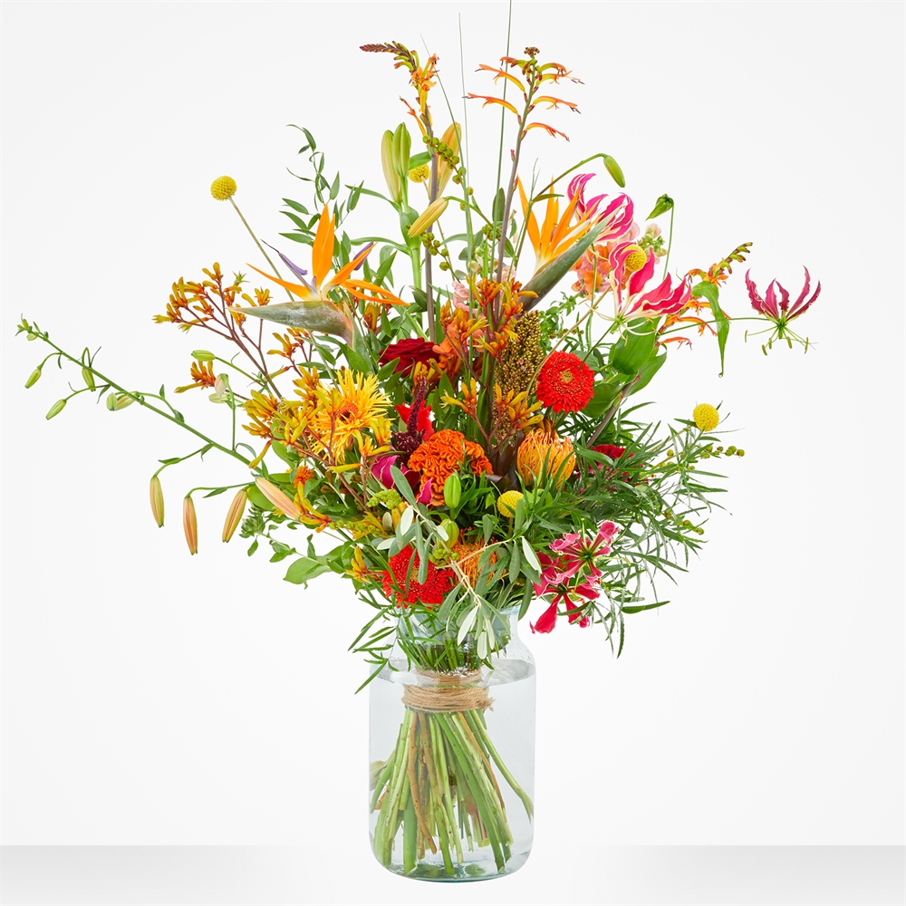 Exotische tuin